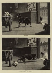 Een Hoekje in Varkensvlees